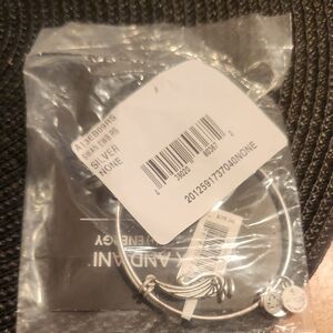 Alex and Ani Silver Charm Bracelet